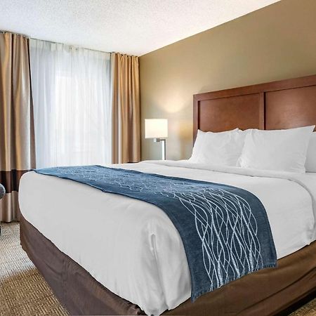 Comfort Inn&Suites Dimondale Extérieur photo