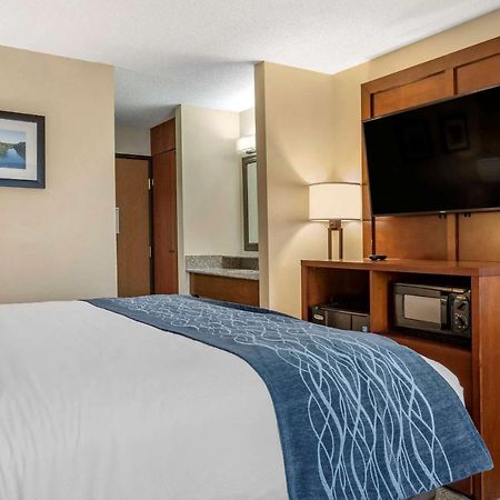 Comfort Inn&Suites Dimondale Extérieur photo
