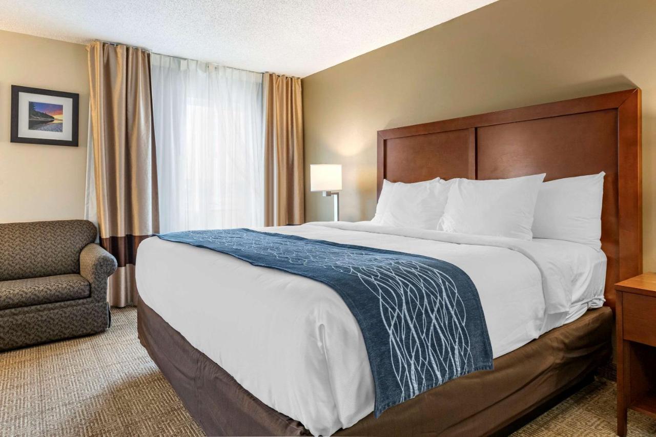 Comfort Inn&Suites Dimondale Extérieur photo