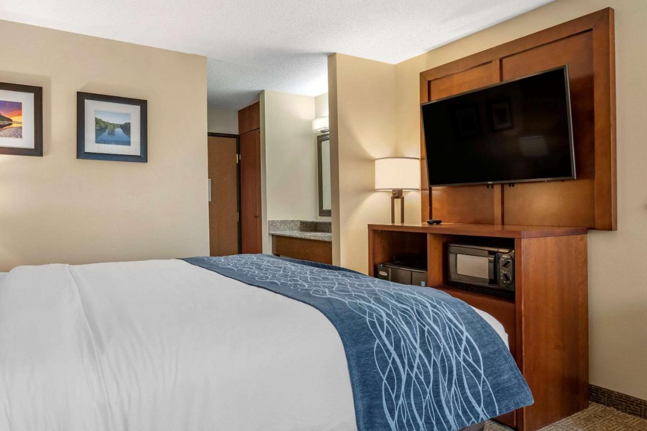 Comfort Inn&Suites Dimondale Extérieur photo
