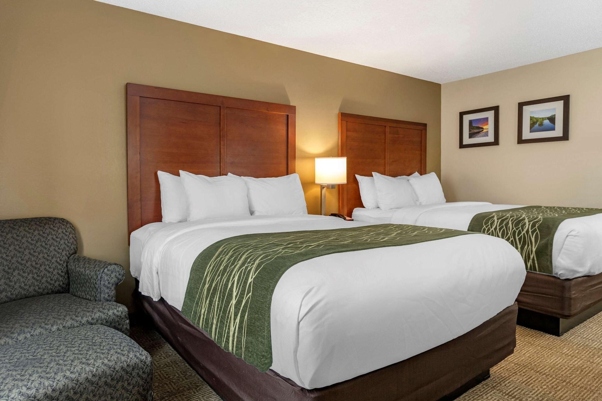 Comfort Inn&Suites Dimondale Extérieur photo