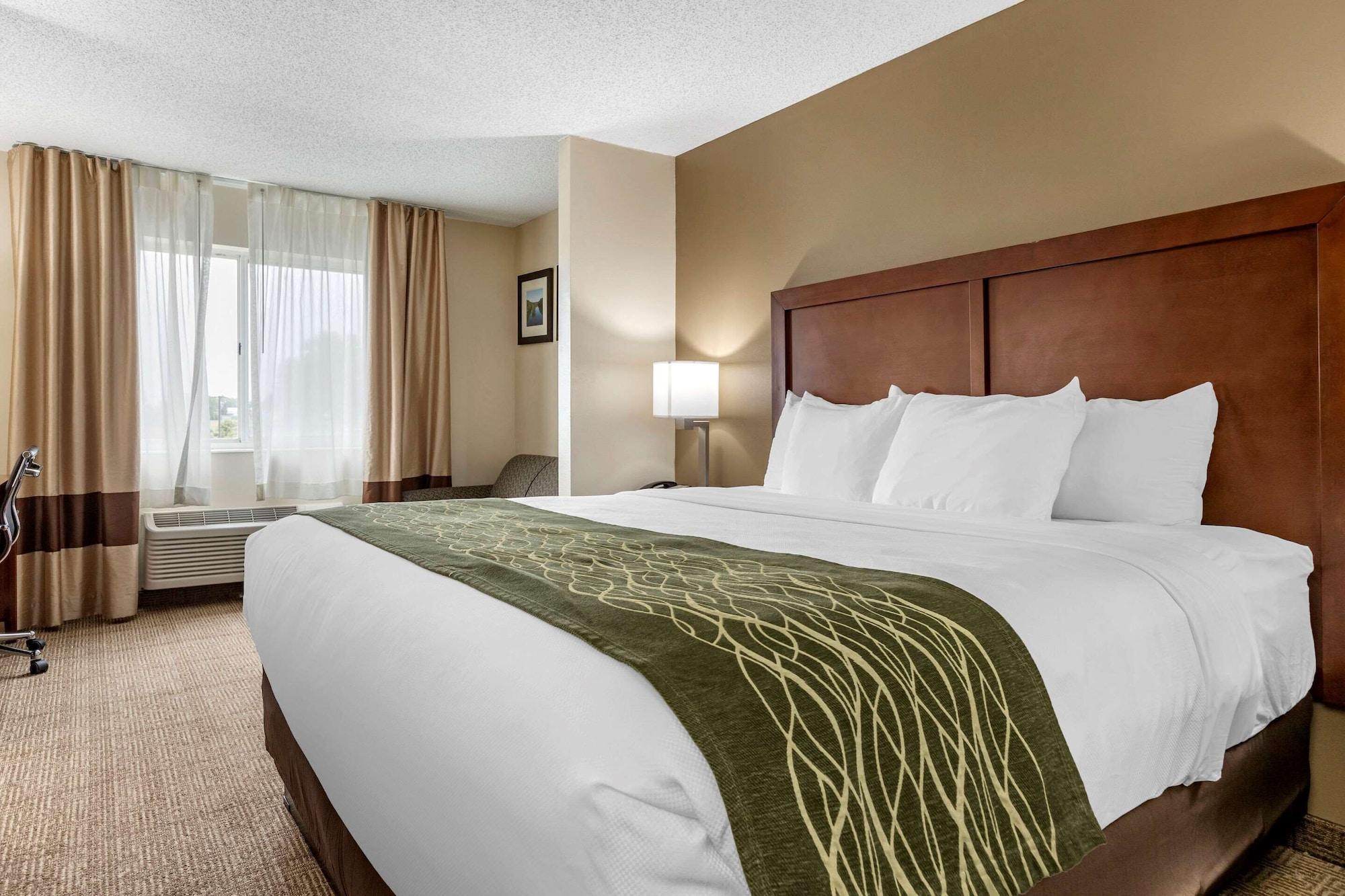 Comfort Inn&Suites Dimondale Extérieur photo