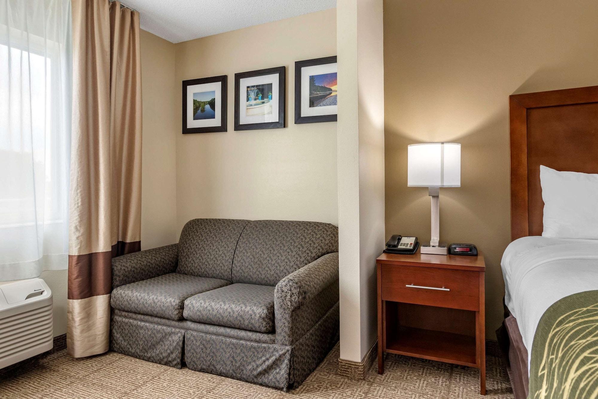 Comfort Inn&Suites Dimondale Extérieur photo