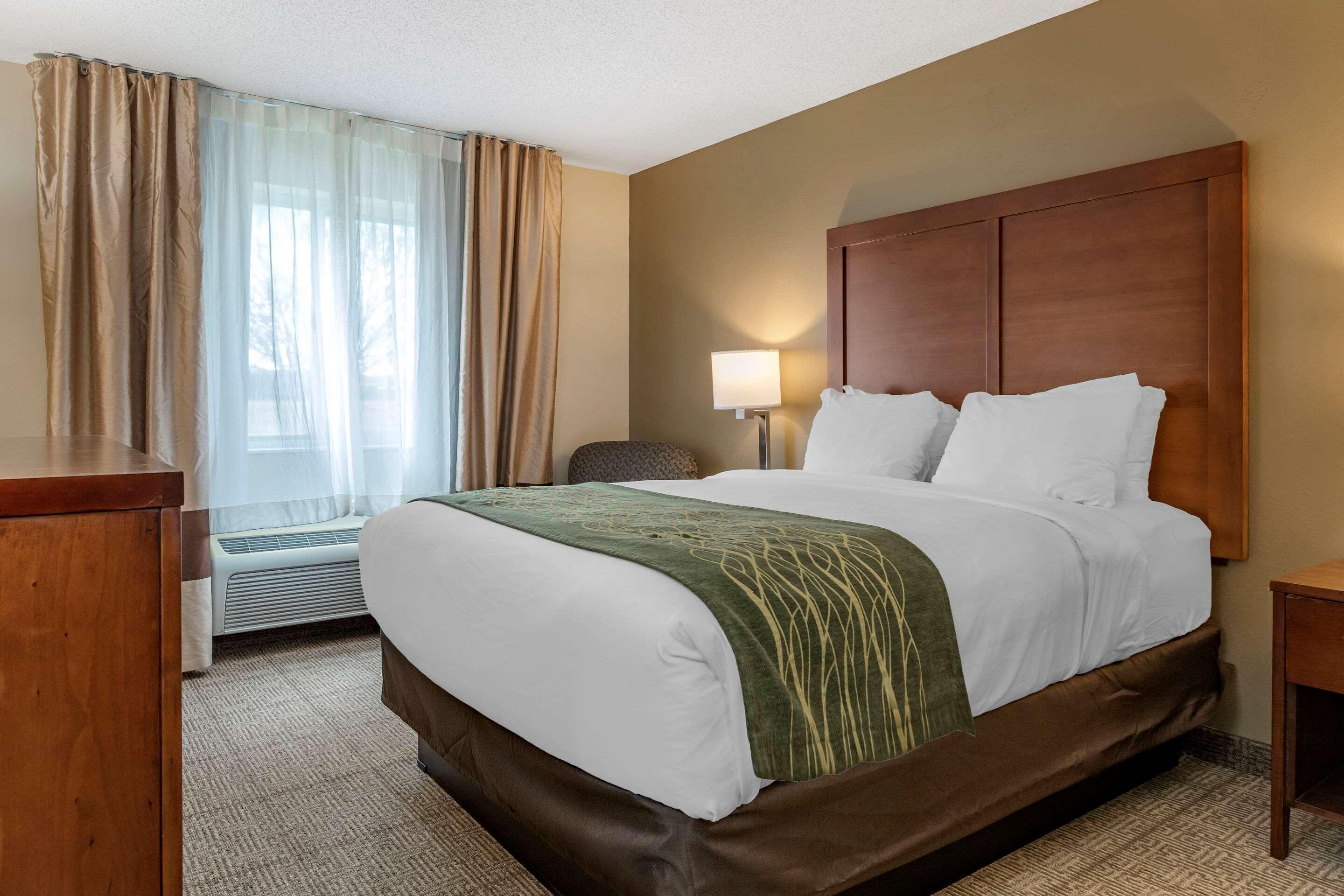 Comfort Inn&Suites Dimondale Extérieur photo