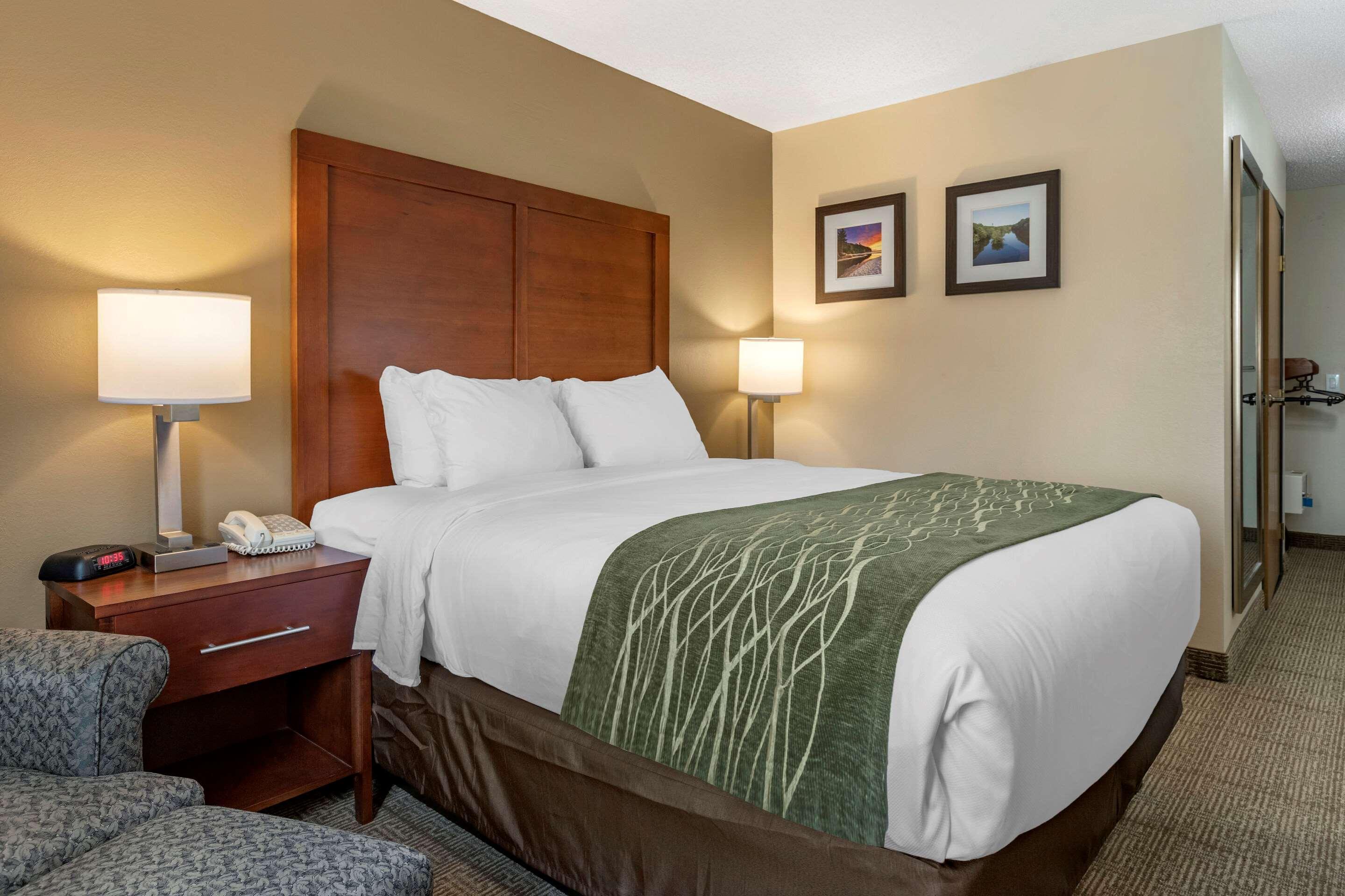 Comfort Inn&Suites Dimondale Extérieur photo