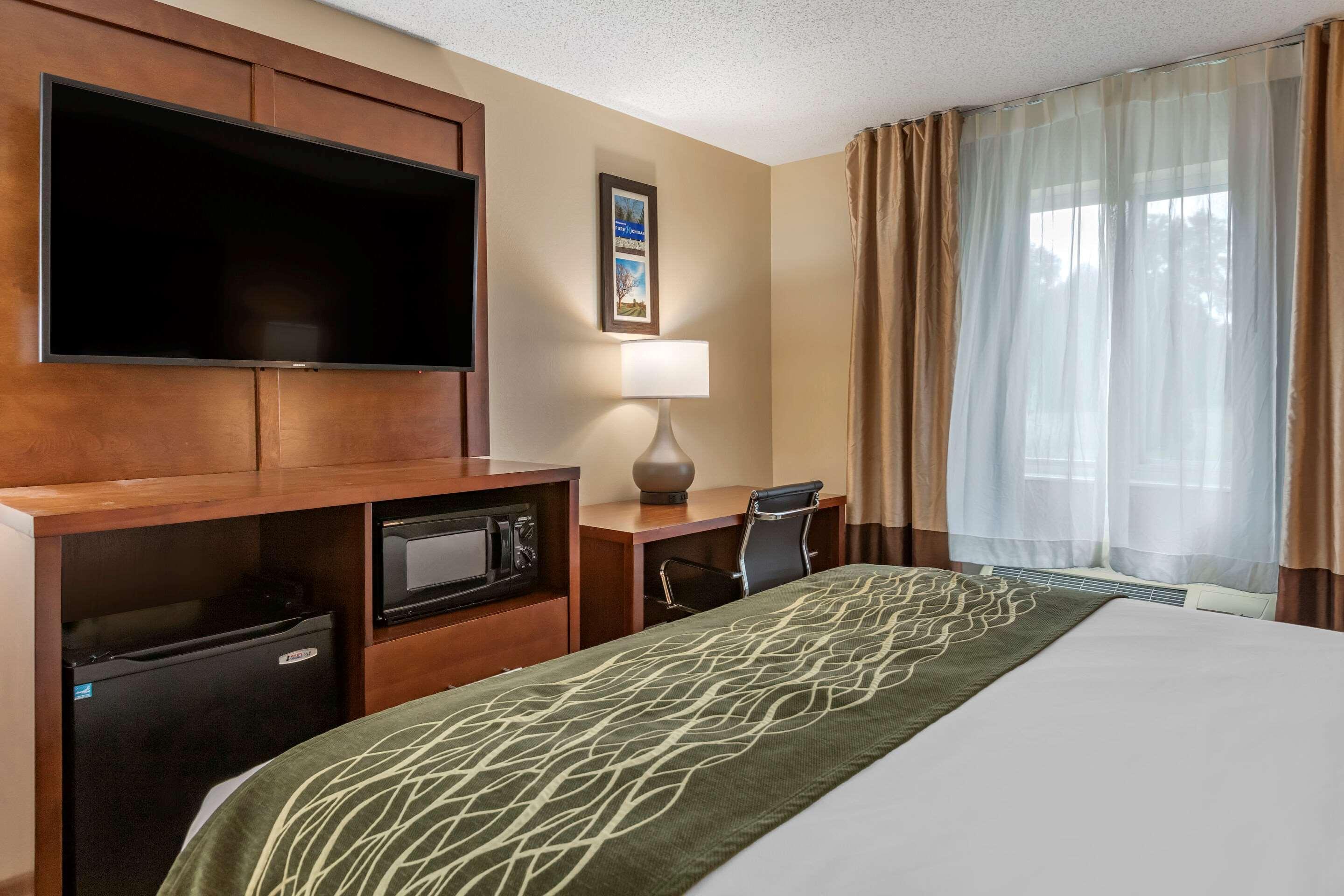 Comfort Inn&Suites Dimondale Extérieur photo