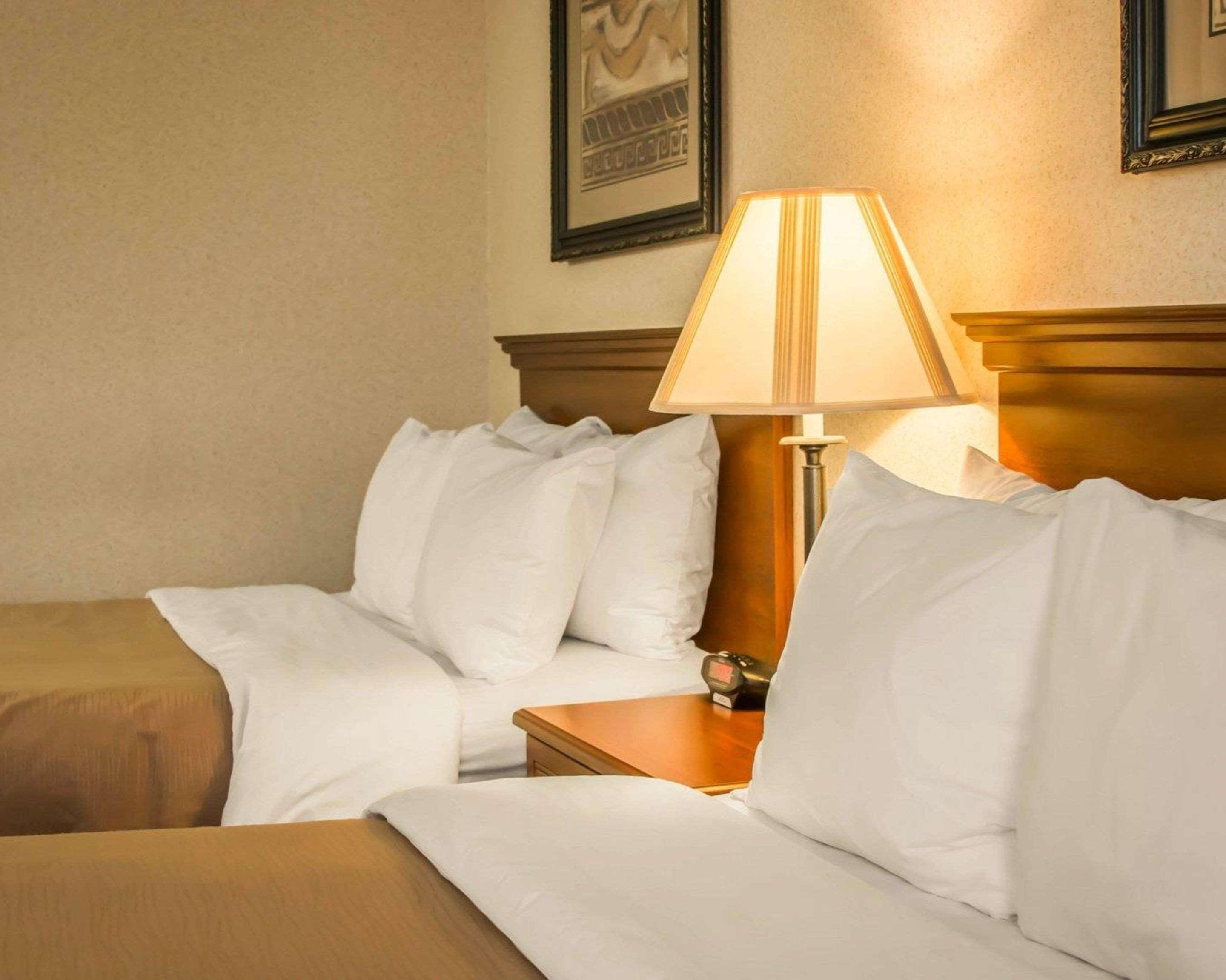 Comfort Inn&Suites Dimondale Extérieur photo