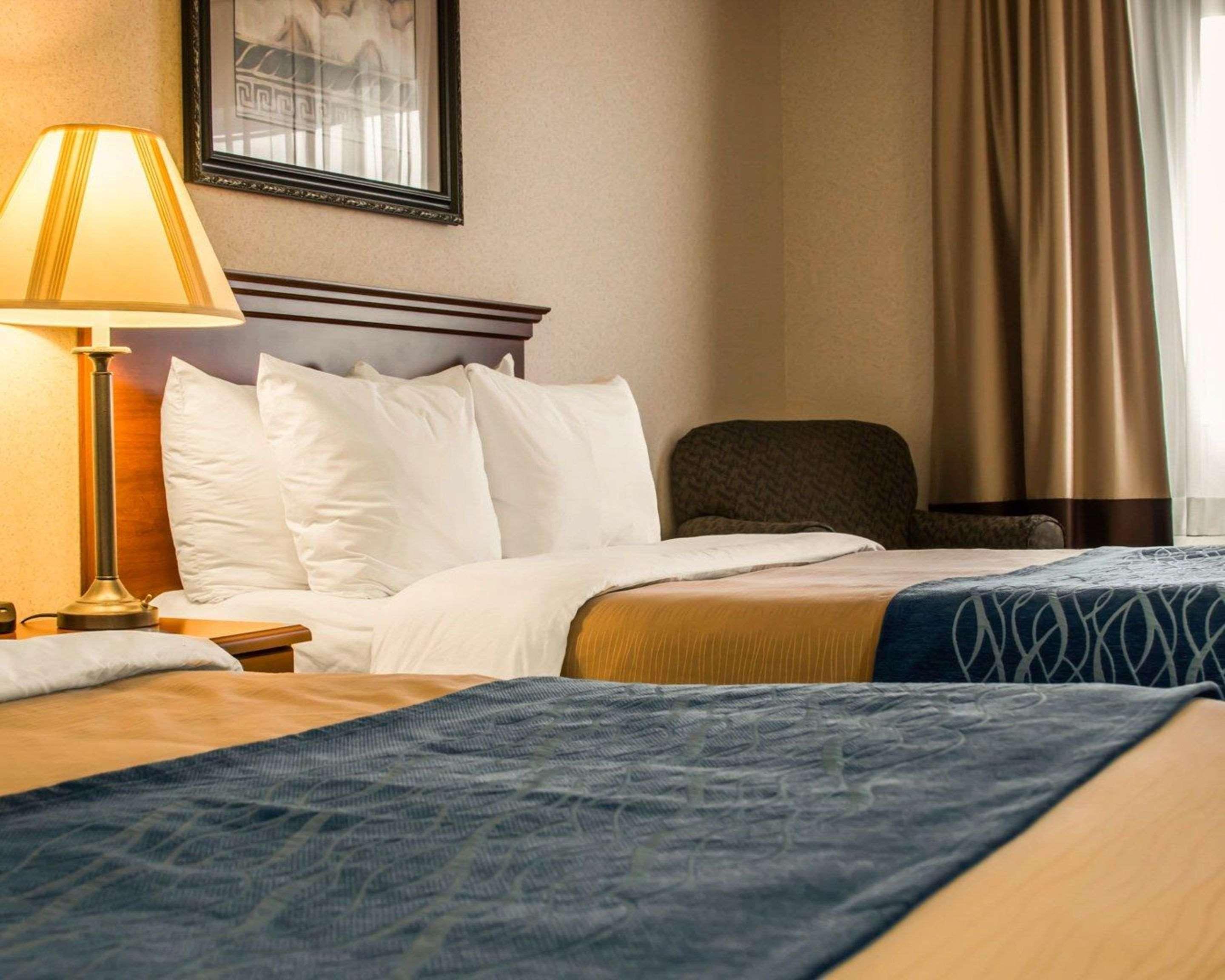 Comfort Inn&Suites Dimondale Extérieur photo