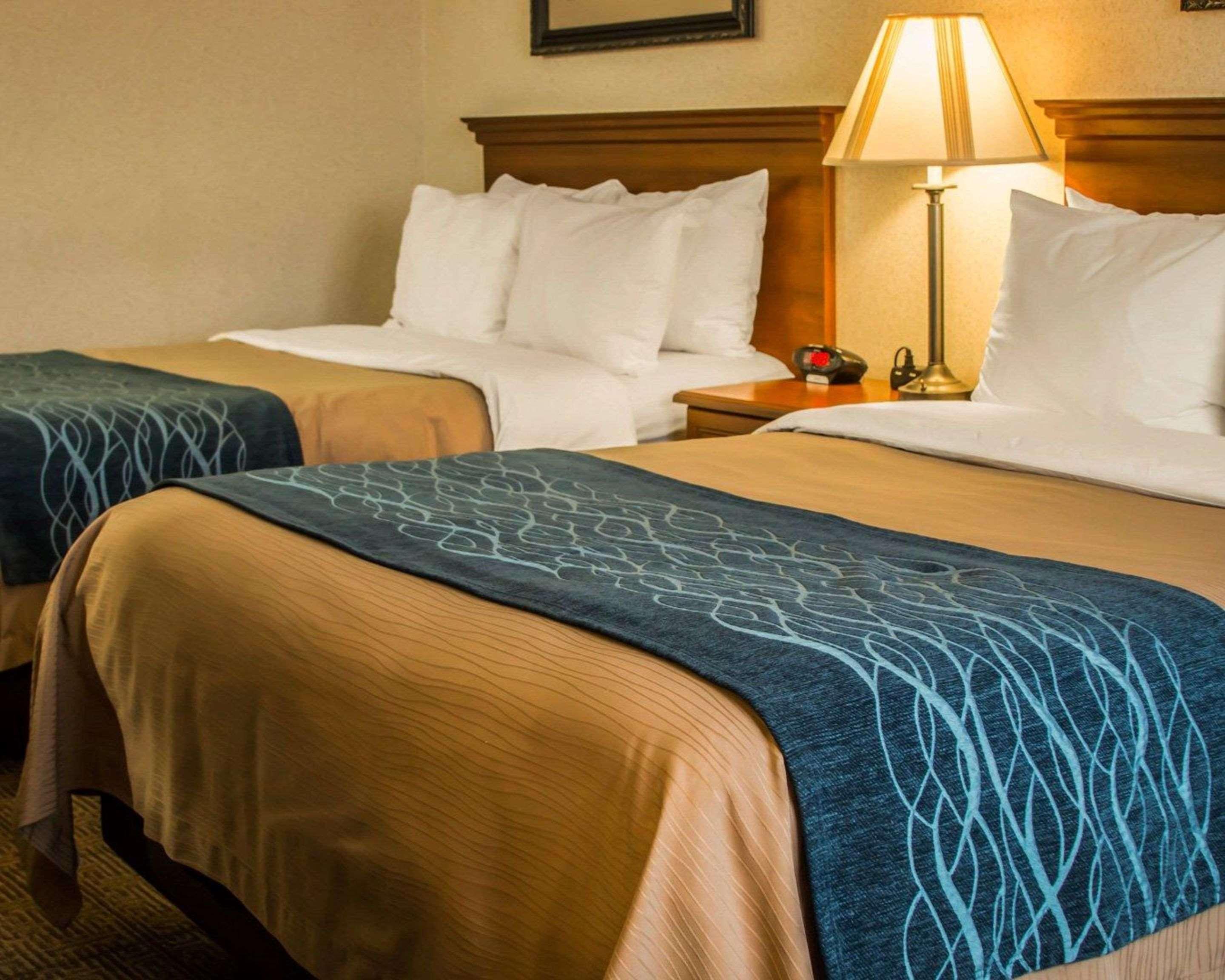 Comfort Inn&Suites Dimondale Extérieur photo