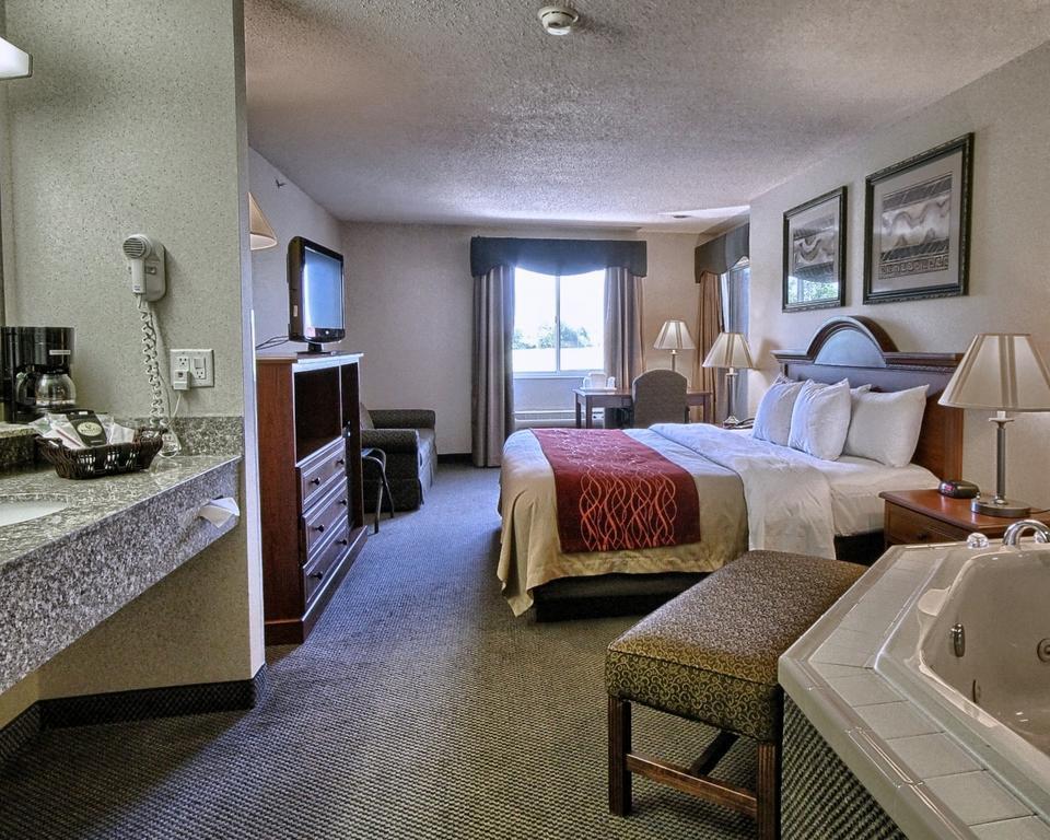 Comfort Inn&Suites Dimondale Extérieur photo