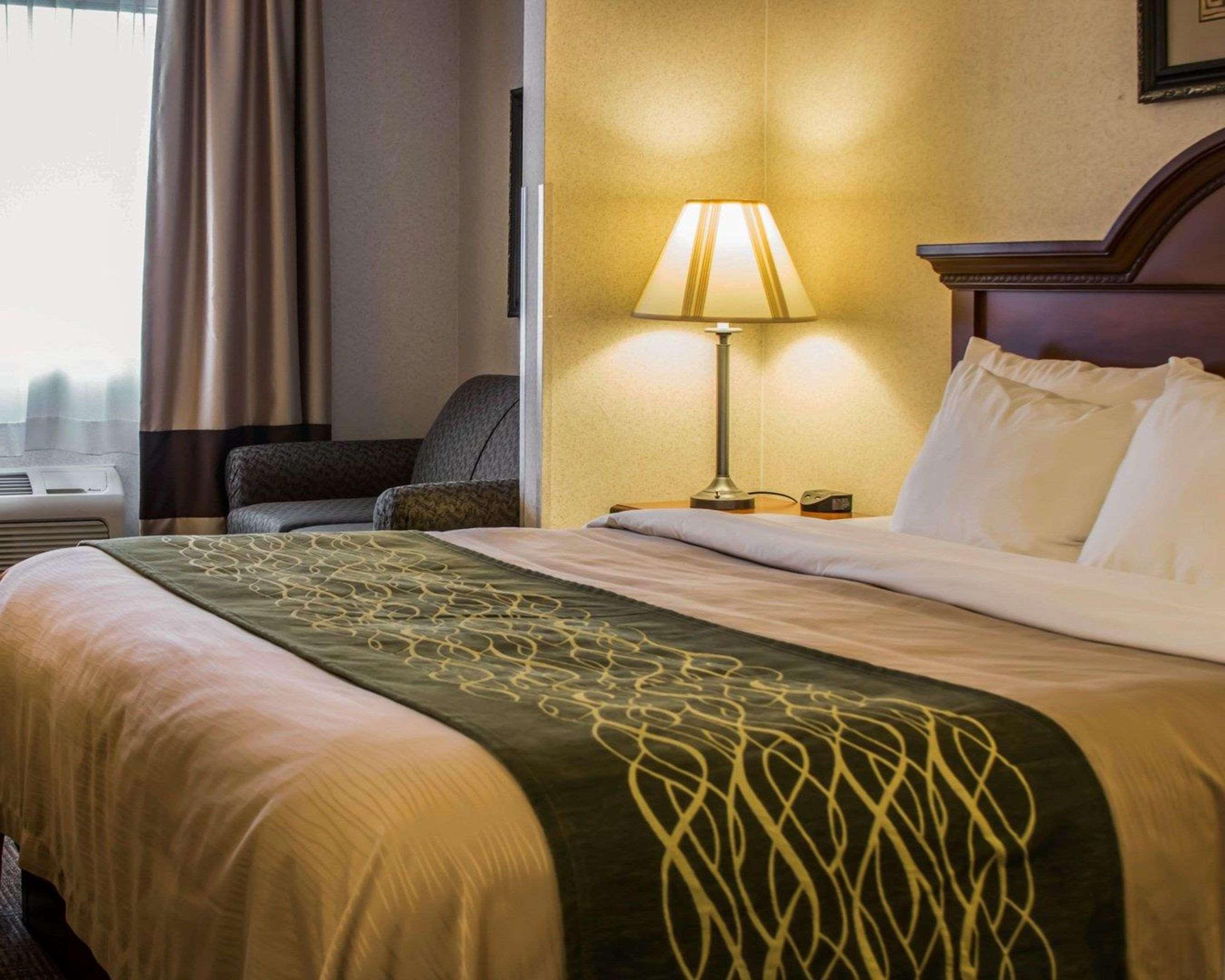 Comfort Inn&Suites Dimondale Extérieur photo