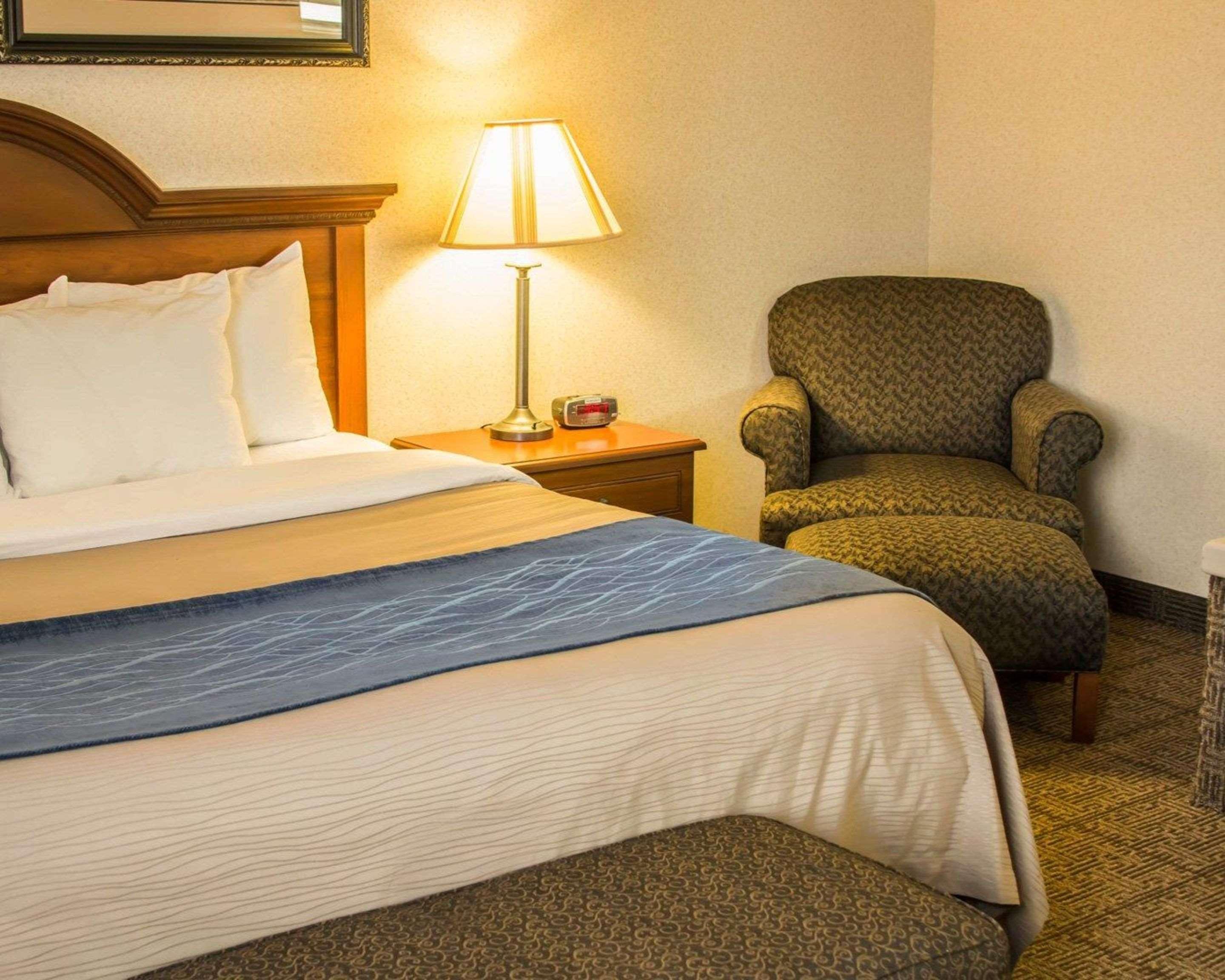 Comfort Inn&Suites Dimondale Extérieur photo