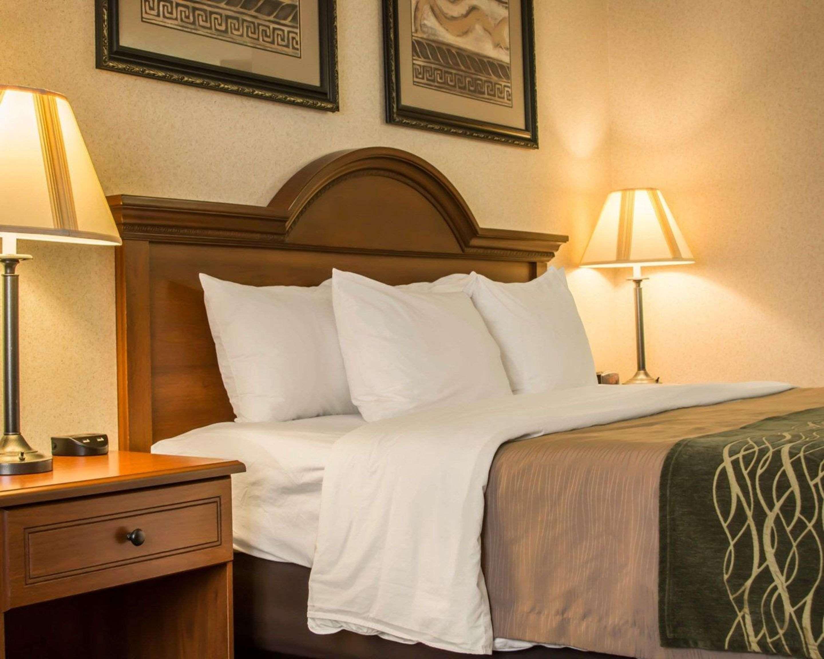 Comfort Inn&Suites Dimondale Extérieur photo
