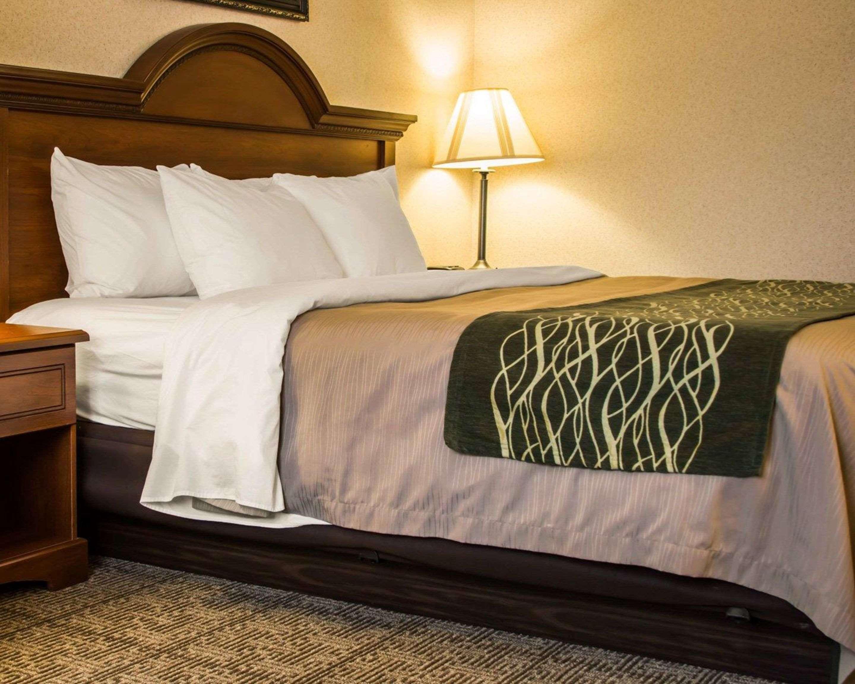 Comfort Inn&Suites Dimondale Extérieur photo