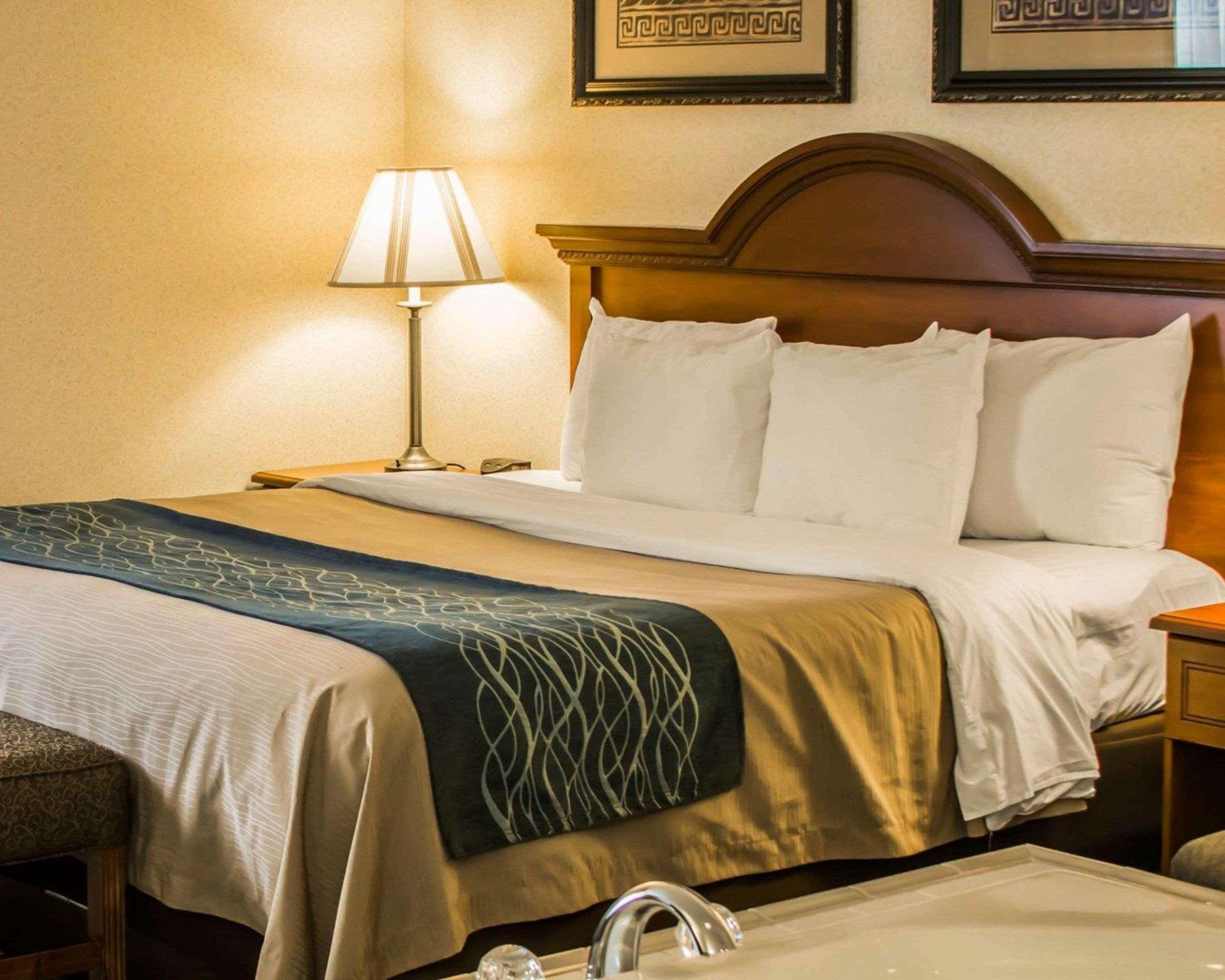 Comfort Inn&Suites Dimondale Extérieur photo
