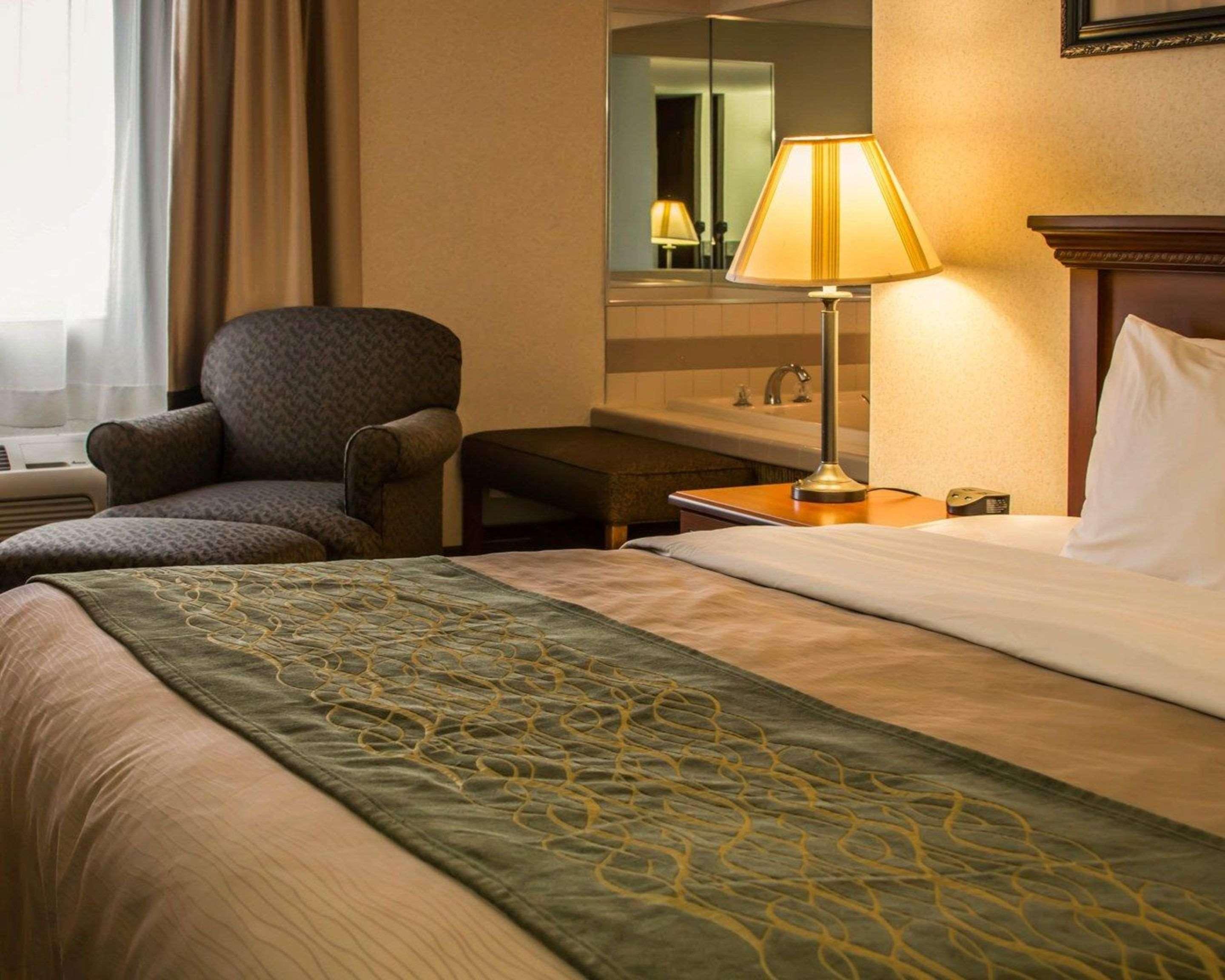 Comfort Inn&Suites Dimondale Extérieur photo