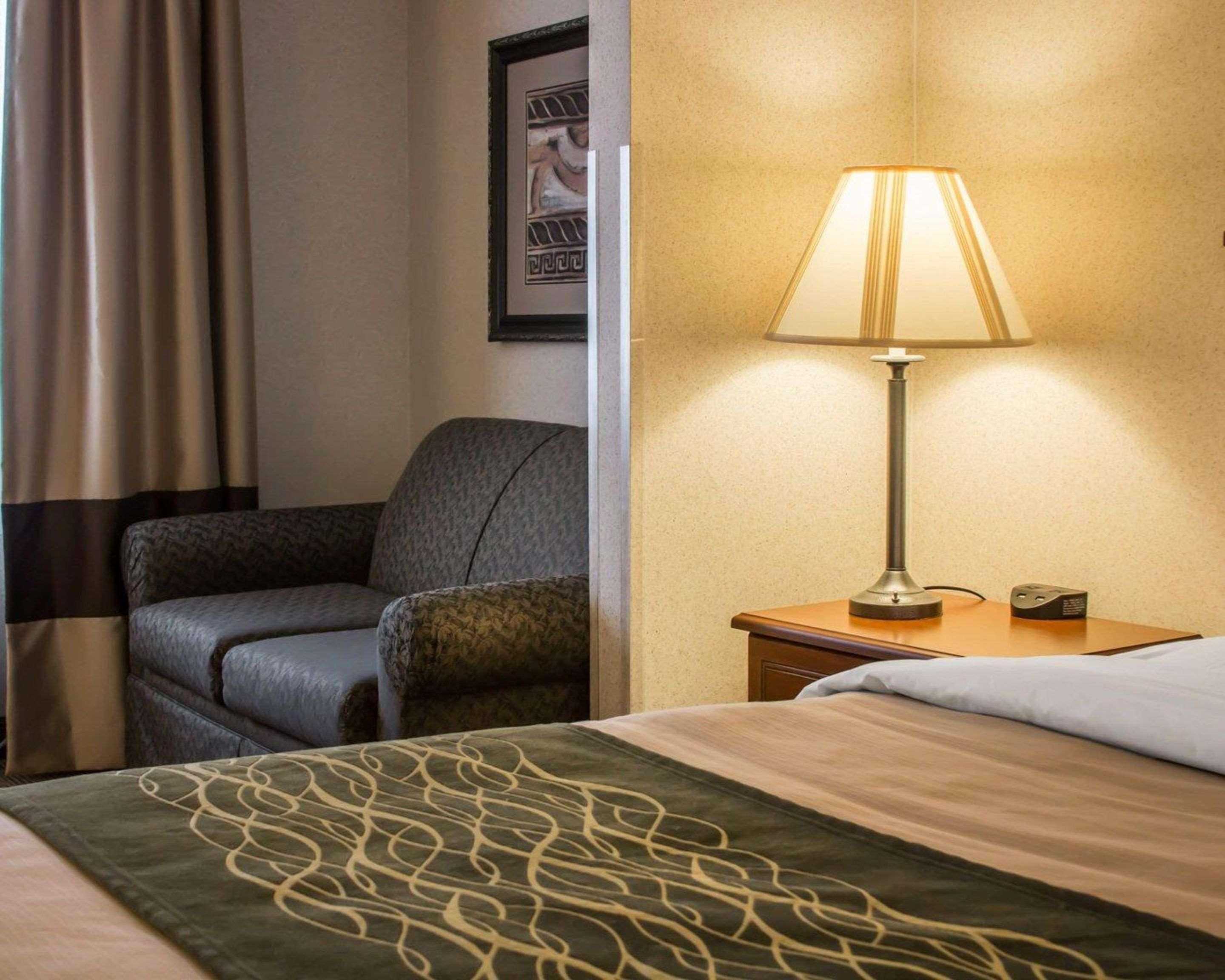 Comfort Inn&Suites Dimondale Extérieur photo