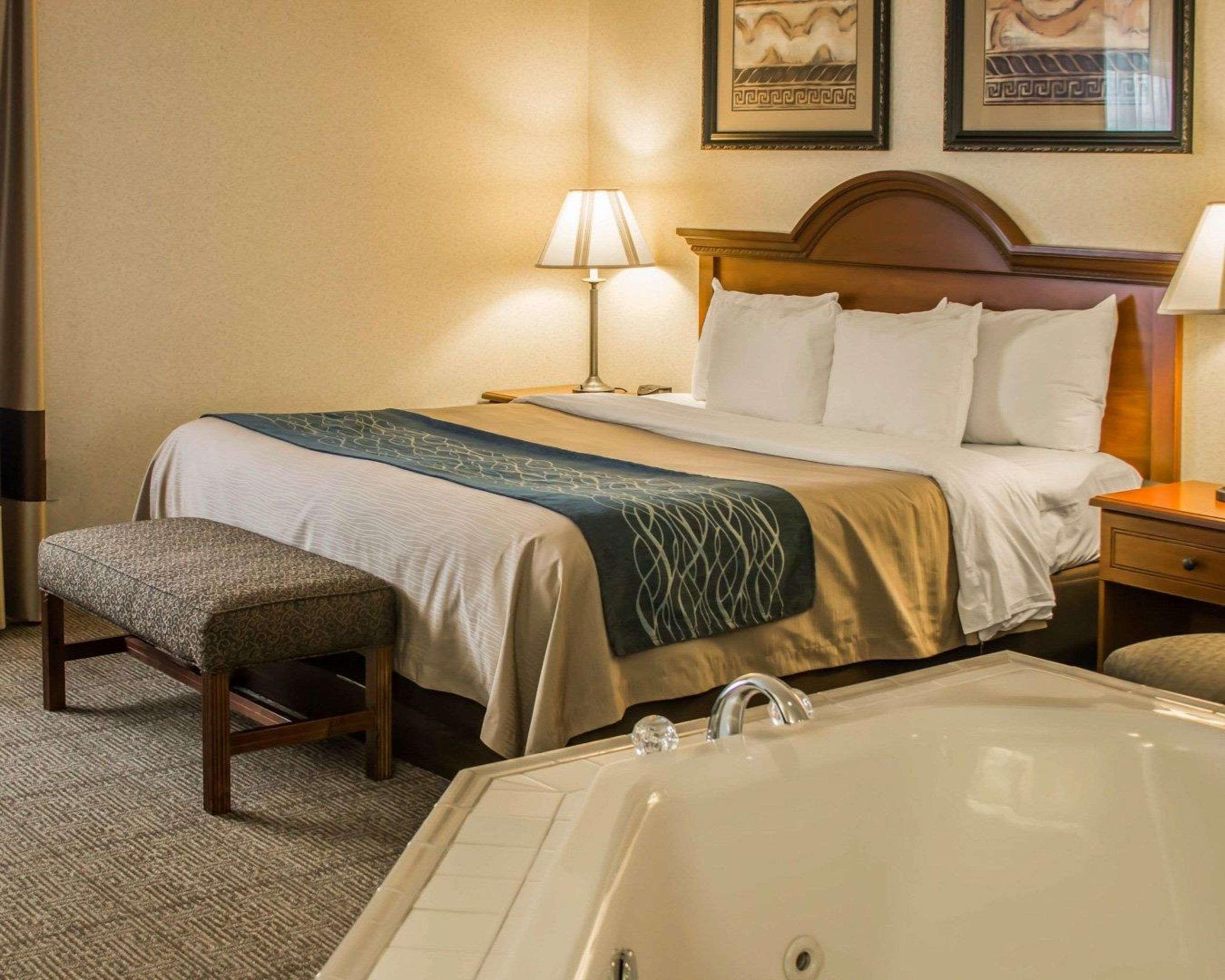 Comfort Inn&Suites Dimondale Extérieur photo