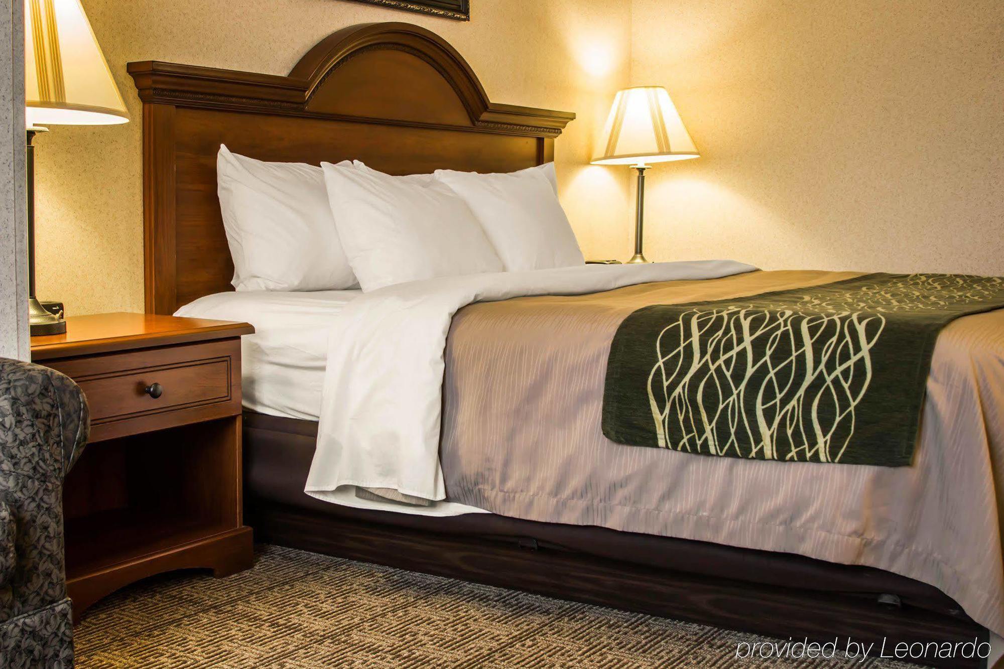 Comfort Inn&Suites Dimondale Extérieur photo