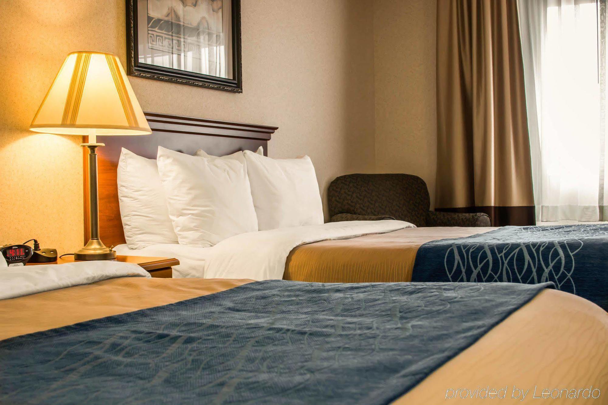 Comfort Inn&Suites Dimondale Extérieur photo