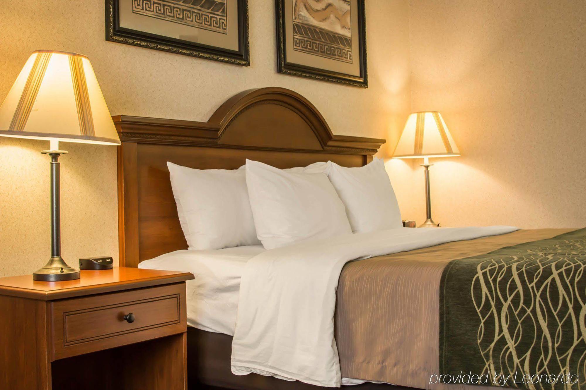 Comfort Inn&Suites Dimondale Extérieur photo